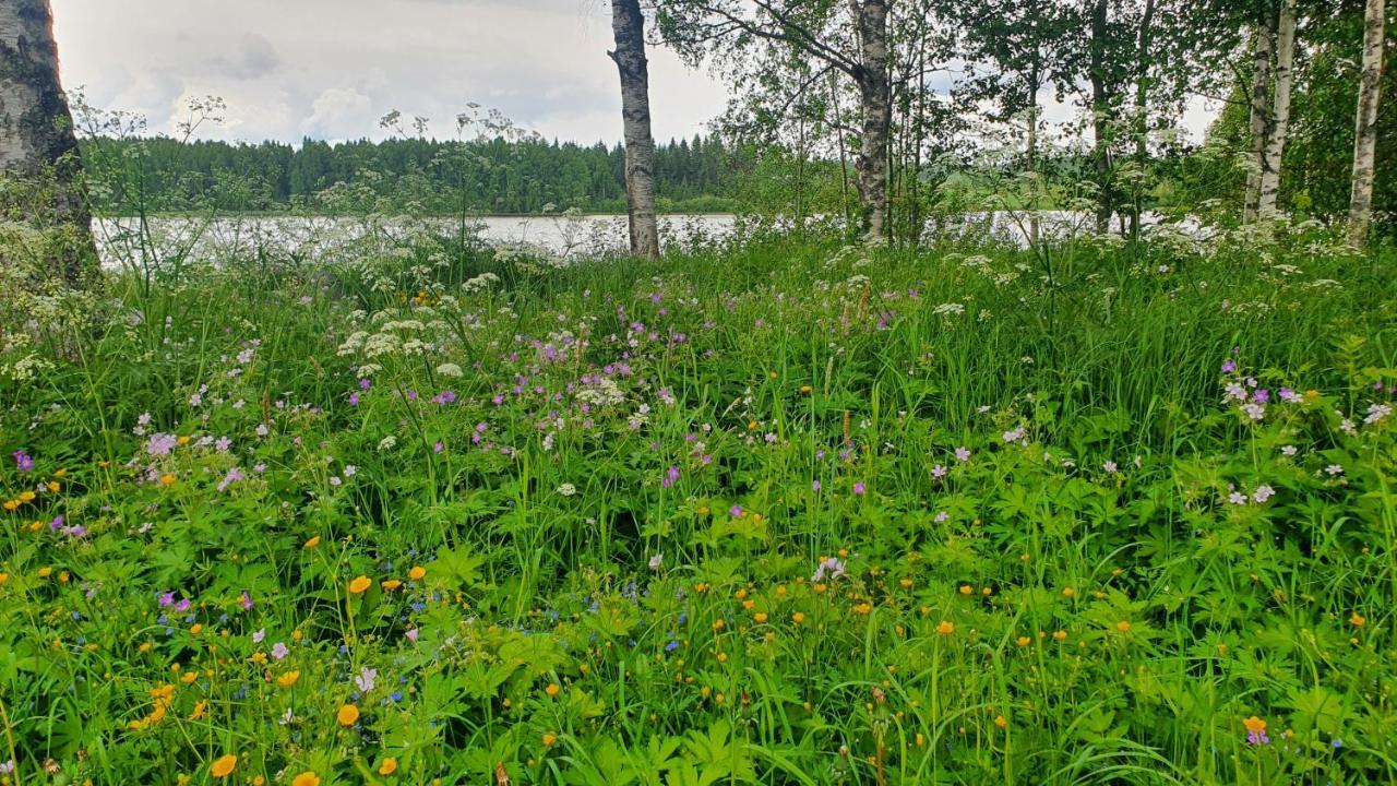 Viihtyisae Kolmio Jaerven Rannalla Haapavesi Buitenkant foto